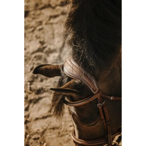 Ogłowie ERIC THOMAS "CROWN" 