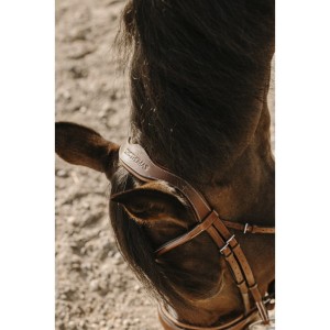 Ogłowie ERIC THOMAS "VISBY"