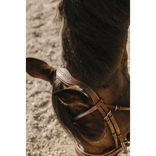 eric-thomas-visby-bridle (1).jpg