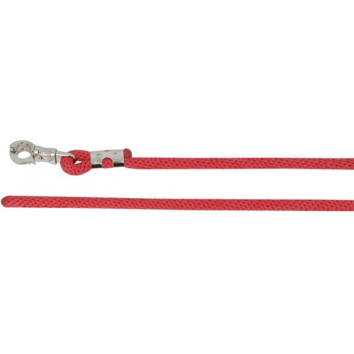 norton-bright-securite-lead-rope (1).jpg