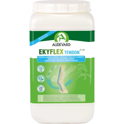 416x416xekyflex-tendon-evo-18-kg.png.pagespeed.ic.Wr1nYzSyk9.webp