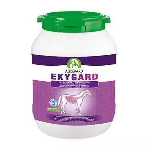 AUDEVARD Ekygard 14kg wsparcie leczenia wrzodów żołądka
