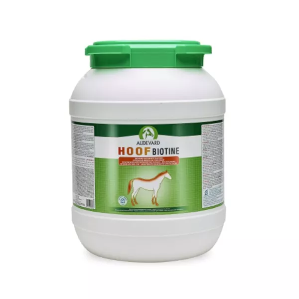 3401177964626-hoof-biotine-12kg-besoins-intensifs-du-pied-du-cheval.webp