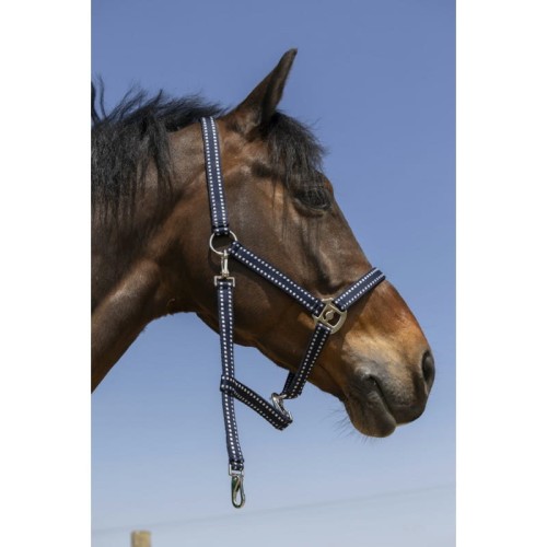norton-grooming-headcollar (1).jpg
