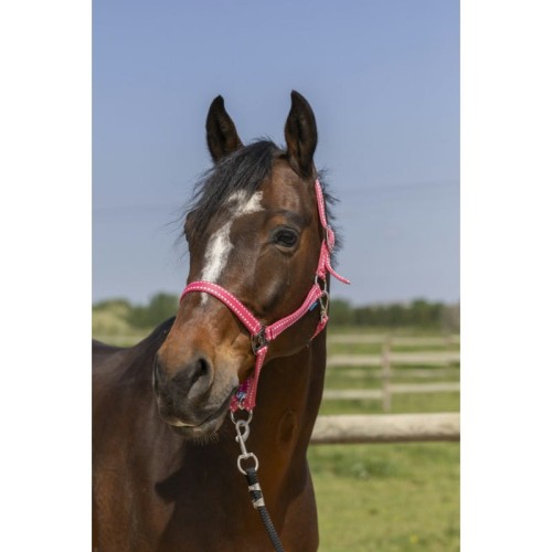norton-grooming-headcollar (4).jpg