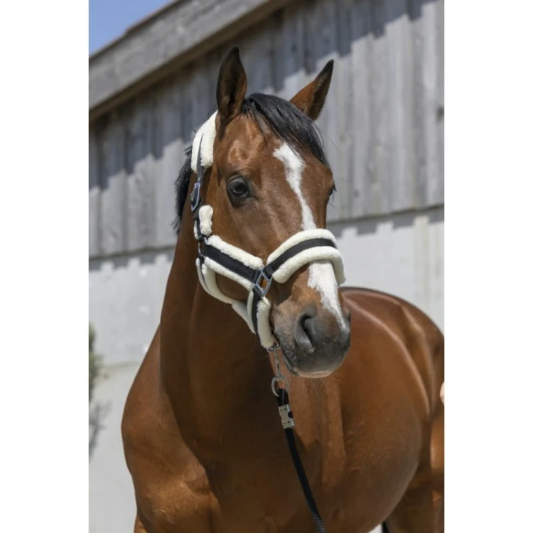 norton-cosy-headcollar.jpg