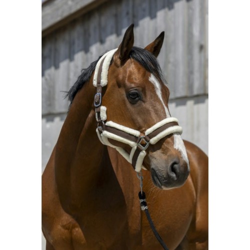 norton-cosy-headcollar (2).jpg