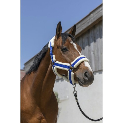 norton-cosy-headcollar (3).jpg