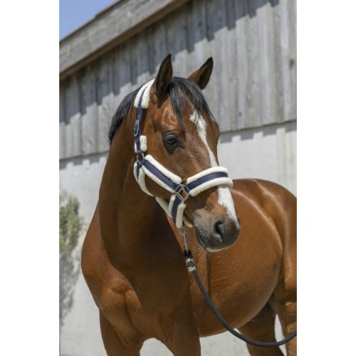 norton-cosy-headcollar (4).jpg