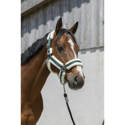 norton-cosy-headcollar (5).jpg