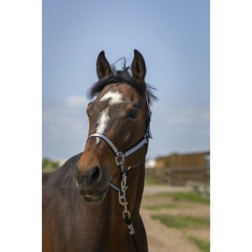norton-nylon-soft-headcollar.jpg