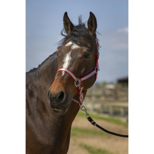 norton-nylon-soft-headcollar (1).jpg