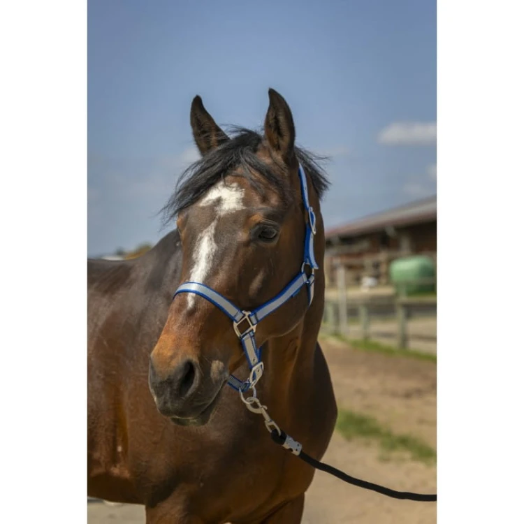 norton-nylon-soft-headcollar (2).jpg