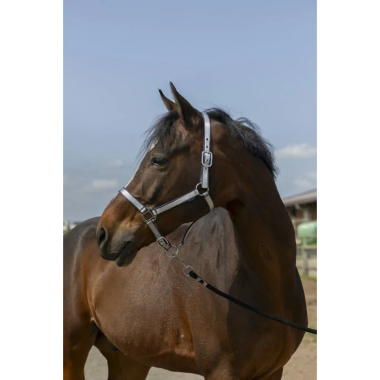 norton-nylon-soft-headcollar (3).jpg