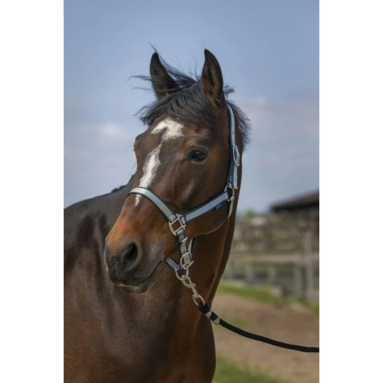 norton-nylon-soft-headcollar (4).jpg