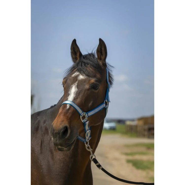 norton-nylon-soft-headcollar (5).jpg