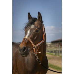 NORTON Kantar "NYLON SOFT"  