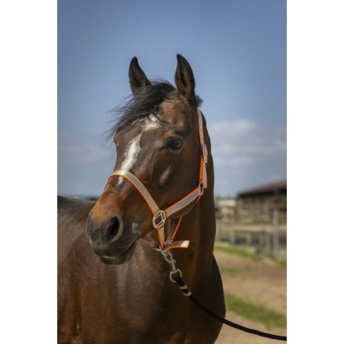 norton-nylon-soft-headcollar (6).jpg