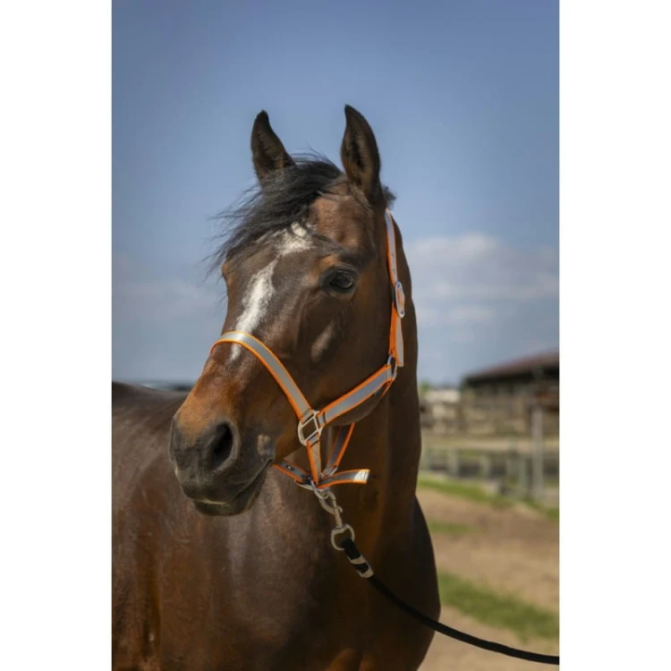 norton-nylon-soft-headcollar (6).jpg