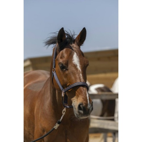 NORTON Kantar  "ZARI" 