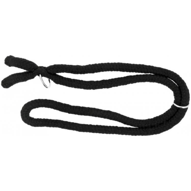 norton-ethological-collar.jpg