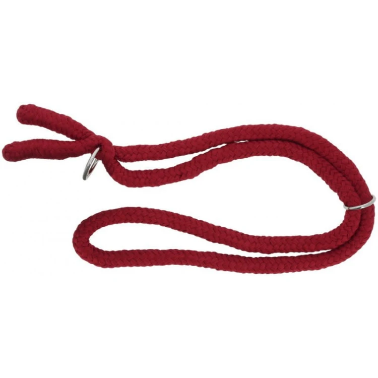 norton-ethological-collar (1).jpg
