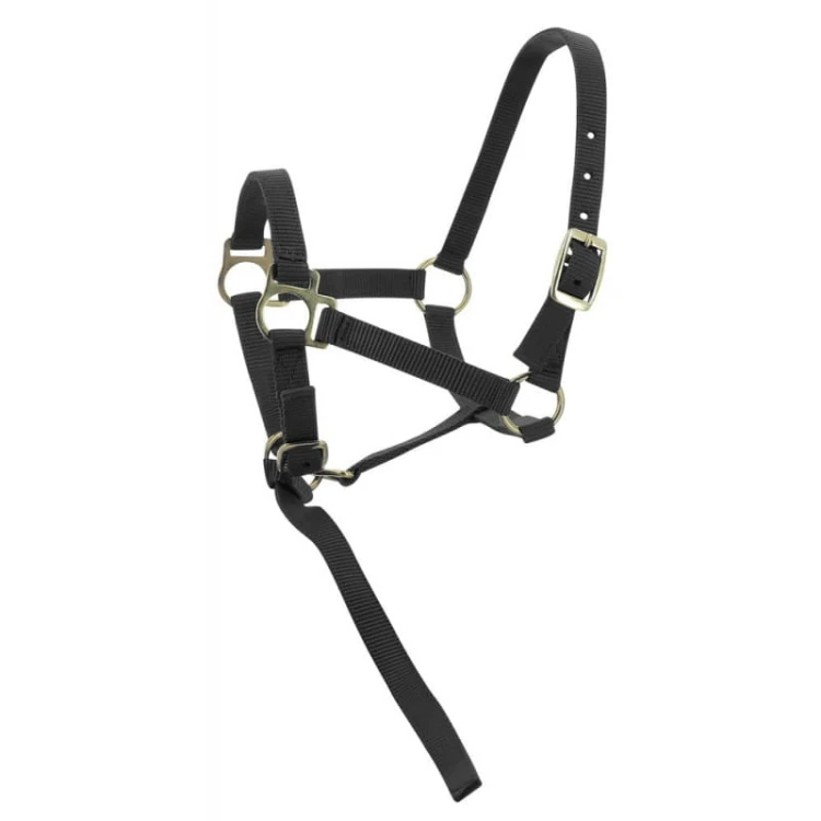 norton-foal-headcollar-lead-rope.jpg