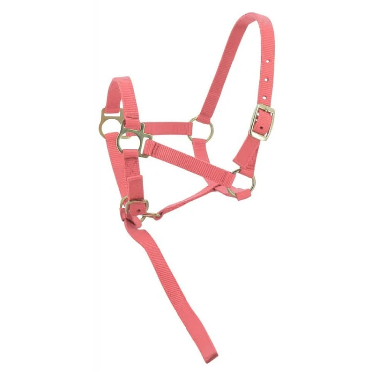 norton-foal-headcollar-lead-rope (8).jpg