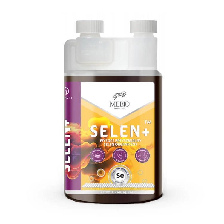selen-24.08-1024x1024.png