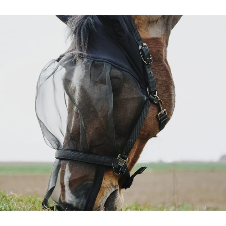 equitheme-halter-fly-mask-anti-uv-protection (2).jpg