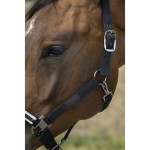 Kantar "NYLON CHEVRON" EQUITHÈME