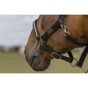 Kantar "NYLON CHEVRON" EQUITHÈME