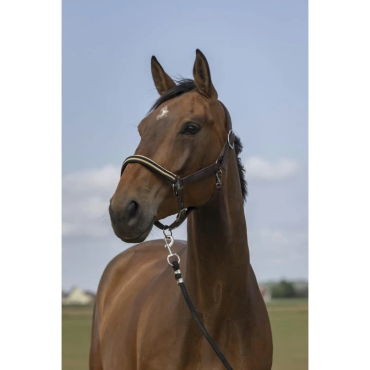 equitheme-nylon-chevron-headcollar (2).jpg