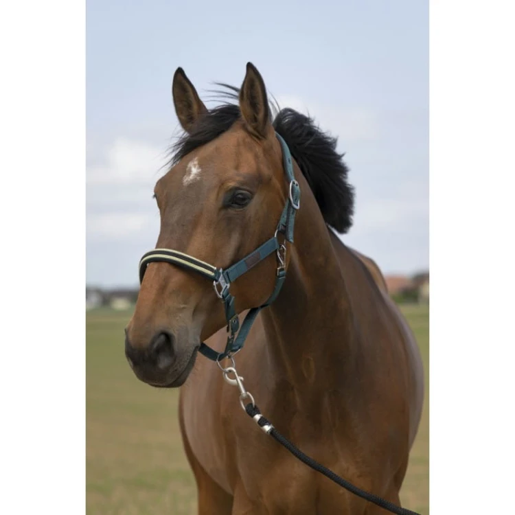 equitheme-nylon-chevron-headcollar (3).jpg