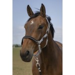 Kantar "NYLON CHEVRON" EQUITHÈME