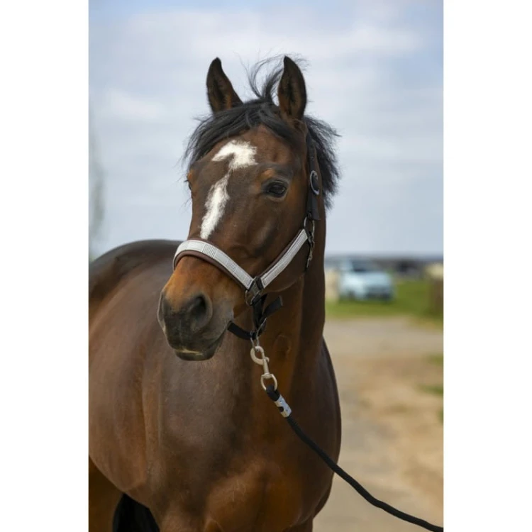 equitheme-nylon-check-headcollar.jpg