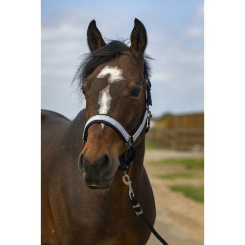 Kantar   "NYLON CHECK" EQUITHÈME