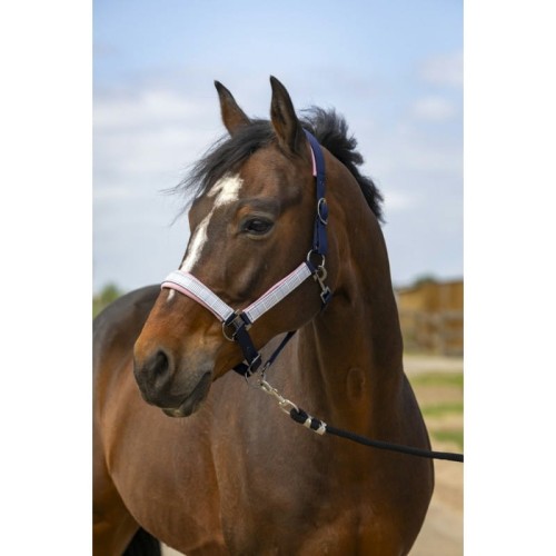 Kantar   "NYLON CHECK" EQUITHÈME