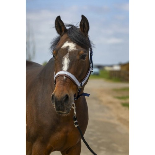 Kantar   "NYLON CHECK" EQUITHÈME