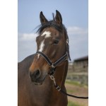 Kantar  "NYLON LIGHT" EQUITHÈME