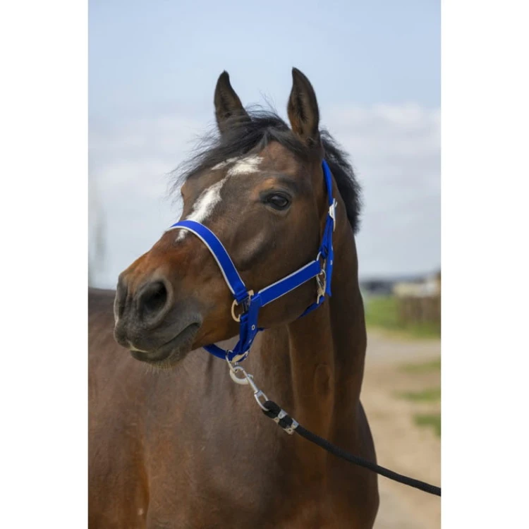 equitheme-nylon-light-headcollar (1).jpg