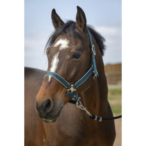 Kantar  "NYLON LIGHT" EQUITHÈME