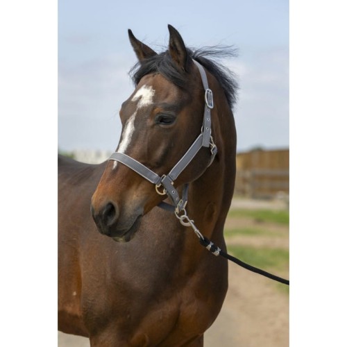 Kantar  "NYLON LIGHT" EQUITHÈME