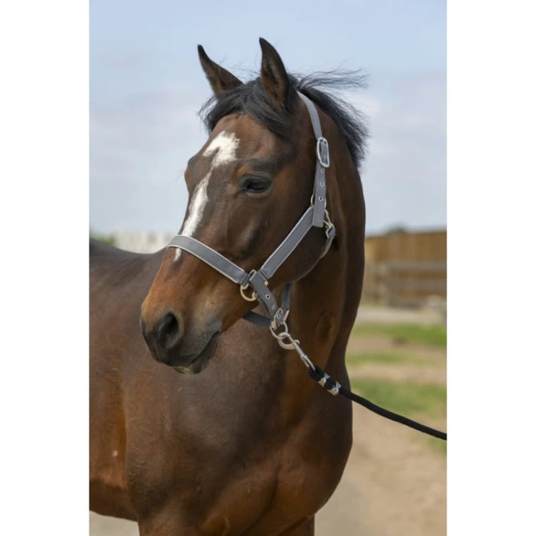 equitheme-nylon-light-headcollar (4).jpg