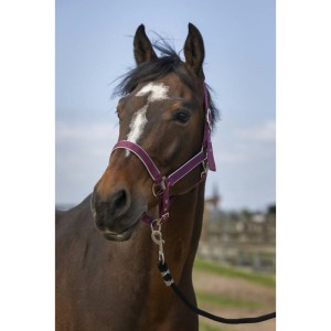 Kantar  "NYLON LIGHT" EQUITHÈME