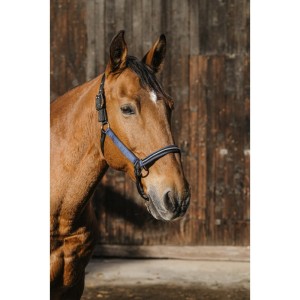 Kantar "DOMINO" EQUITHEME