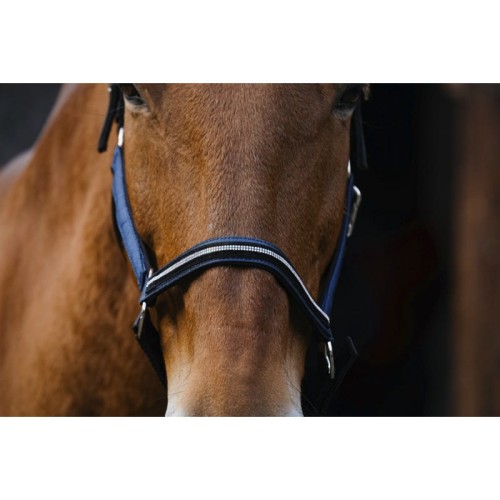 equitheme-domino-nylon-headcollar (2).jpg