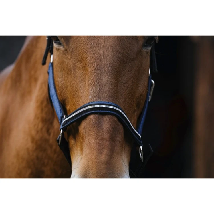 equitheme-domino-nylon-headcollar (2).jpg