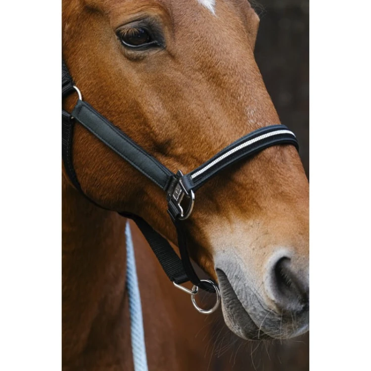 equitheme-domino-nylon-headcollar (4).jpg