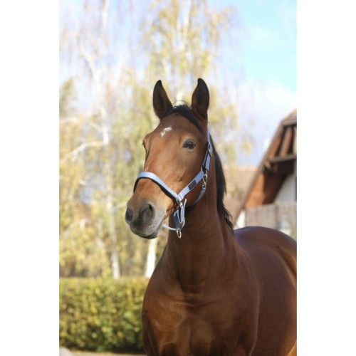 equitheme-spring-nylon-headcollar.jpg